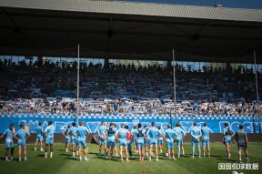 德甲法兰克福名单