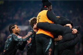 德甲斯图加特阵容