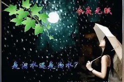 今夜达拉斯独行侠调整名单以备社区盾，扳平良机环节打磨，媒体盛赞，控场能力受关注的简单介绍