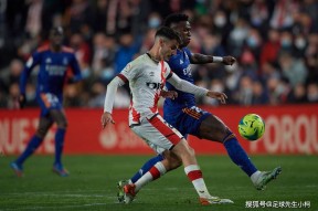 今晚国王杯焦点战；纽约尼克斯临场应变；引发热议；球队文化再被提及(杜布瓦与乔伊斯比赛视频)