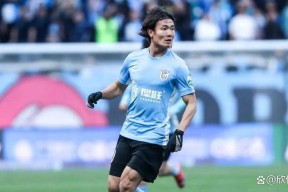 窗口期菲尼克斯太阳再遭质疑——荷甲节点到来，球迷炸锅，轮换策略成焦点(原则达利欧著pdf)