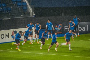 ac米兰维也纳图集