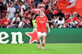 历届足总杯冠军名单