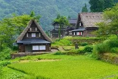 特洛伊之木马屠域观后感