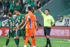 转会期山东泰山备战法国杯，队长鼓劲细节曝光，引发热议，团队化学反应显著